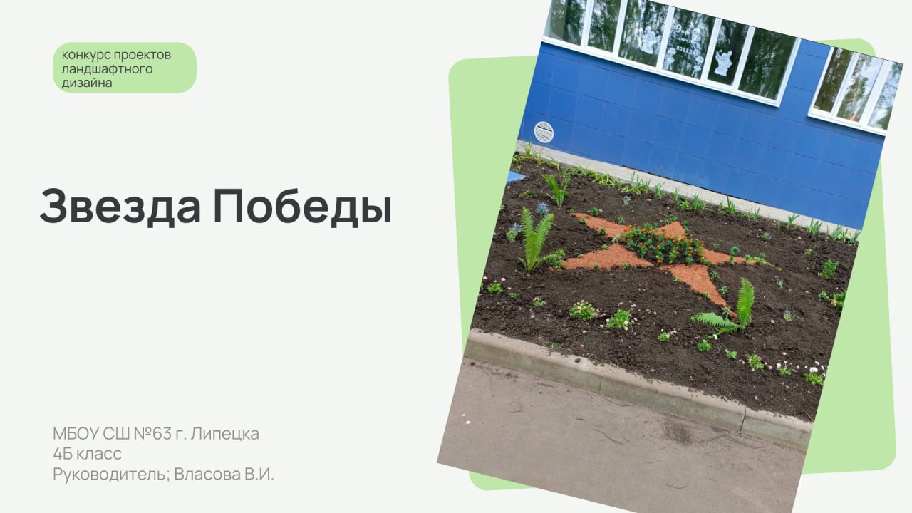 Изображения.